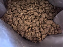 比乐原味守护者鸭肉紫薯成幼犬全价狗粮24斤小型中大型犬泰迪金毛 实拍图
