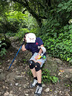 骆驼户外登山杖多功能伸缩拐杖超轻便防身拐棍行山杖徒步装备 2SA7D42 实拍图