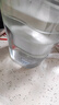 适配碧然德净水壶3.5L滤水壶brita三代专家版净水器家用滤芯 升级专家版(买6+6)通用滤芯 实拍图