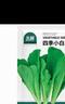 北蔬 小白菜种子苗夏秋四季阳台速生青菜蔬菜籽 四季小白菜种子2000粒 实拍图