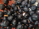 京鲜生云南蓝莓18mm+大果 8盒礼盒装 净重125g/盒 生鲜水果 实拍图