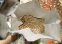 半山农 三七粉100克 中药饮片 云南文山三七 田七粉细粉散瘀止血消肿定痛 中老年人营养调节高血压送礼送长辈 实拍图