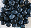 高原蓝莓125g盒新鲜当季水果蓝梅鲜果云南高山进口怡颗甜蓝莓孕妇 优选中果14-16mm 12盒 实拍图