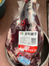 鲜京采 原切牛腱子 4斤 不含腱子芯   炖煮健身食材 京东自有品牌 实拍图