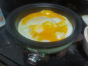 ERNTE昂特小绿锅 1L电火锅 电热锅 电煎锅 家用多功能锅 适合1~2人 家用 EHP-1901-OG 橄榄绿 实拍图