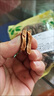 北京同仁堂四川江油炮附片中药材附子制附片附片顺片青盐炮附刷牙粉 炮附子500g 实拍图