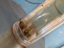 猴王牌茉莉花茶横县茉莉花茶浓香型特级/特制一号共300g袋装 实拍图