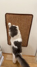 喵仙儿猫抓板剑麻垫耐磨不掉屑防猫爪沙发保护墙贴猫抓垫猫咪用品 40*60 实拍图