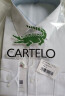 卡帝乐鳄鱼(CARTELO)衬衫男 纯色休闲短袖衬衫舒适透气白衬衣男 1F158101312D 白色-短袖 L 实拍图