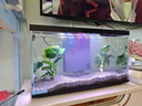喜高超白玻璃鱼缸智能鱼缸免换水小型客厅水族箱一体式过滤氧气鱼缸 黑色-鱼缸+造景 485*225*283mm 实拍图