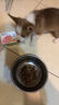 财咪宠物感冒药猫咪狗狗猫鼻支犬窝咳打喷嚏流鼻涕盐酸多西环素片 实拍图