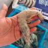 鲜京采 原装进口厄瓜多尔白虾 净重3.3斤 大号30-40规格 50-66只/盒 实拍图