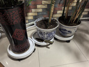 漫生活花托移动花盆托盘万向轮外径360内径322mm移动花盆底座滚轮托4轮 实拍图