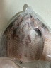 中润鱼 广东免浆黑鱼片250g*5袋 中段 酸菜鱼火锅 源头直发 包邮 实拍图
