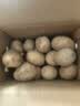楚川恩施小土豆9斤正宗新鲜洋芋迷你黄心土豆湖北马铃薯蔬菜 3斤 小土豆(鸡蛋左右大小) 实拍图