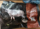 天莱香牛新疆有机原切牛腱子肉净重1斤谷饲300天排酸烧烤食材国产牛肉生鲜 实拍图
