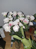花点时间（Reflower）玫瑰花康乃馨百合鲜花云南昆明基源头直发睡莲剑兰向日葵鲜切花 【晨间微光】设计款花束1束 实拍图