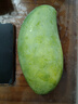 张小壮 芒果 大青芒 大芒果现摘青皮黄皮芒果新鲜水果 源头直发 8.5-9斤精选单果约450g 实拍图