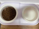 POPOCOLA猫碗陶瓷斜口保护颈椎狗狗食盆宠物猫粮加高脚猫咪防打翻饭碗狗碗 高低陶瓷双碗【35.5*19.5】 实拍图