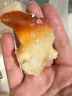 刺身套餐组合4连包 500g北极贝 即食日料 解冻即食 山姆同款刺身 实拍图