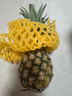三萌果蔬正宗金钻凤梨 海南当季新鲜爆甜手撕金菠萝香水果整盒节日送礼 9斤甄选装净重8斤【约4-6个】 实拍图