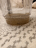 必胜（BISSELL）小蒸龙升级版 高温蒸汽清洁机 布艺沙发多功能清洗机洗窗帘床垫地毯清洗机器吸尘器蒸汽洗吸一体机 【创新水+蒸汽同步】多功能清洗机小蒸龙-3697Z 实拍图
