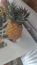 三萌果蔬正宗金钻凤梨 海南当季新鲜爆甜手撕金菠萝香水果整盒节日送礼 9斤甄选装净重8斤【约4-6个】 实拍图