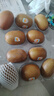 佳沛（zespri）新西兰  阳光金奇异果10粒礼盒巨大果单果约144-175g 水果 猕猴桃 实拍图
