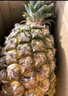 广东香水菠萝新鲜水果菠萝凤梨整箱包邮单果500g起 【囤货】带箱4斤净重3.7-3.9斤（约2-3粒） 实拍图