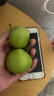 橙市码头陕西头茬青苹果 酸甜 小青苹果 新鲜酸脆孕妇低糖酸水果礼盒送礼 3斤装青苹果【品质精选 净重2.5斤】 实拍图