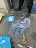 战流撒网手抛渔网大飞盘式圆盘手撒捕鱼易抛网甩抓打扑捞自动鱼网 一指（高强鱼丝线）高1.8米360型 实拍图