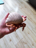 玛奇乐（MECHILE）仿真海洋生物玩具鲨鱼海豚海葵海星海马水母皮皮虾面包蟹动物模型 寄居蟹 实拍图