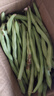 农家四季豆新鲜现摘云南长扁豆角农家应当季蔬菜芸豆现摘菜豆 新鲜四季豆2斤带箱 实拍图