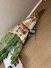 佳茉乔迁之喜装饰房门门把手小扫帚挂件入伙新居搬家仪式端午布置挂件 实拍图