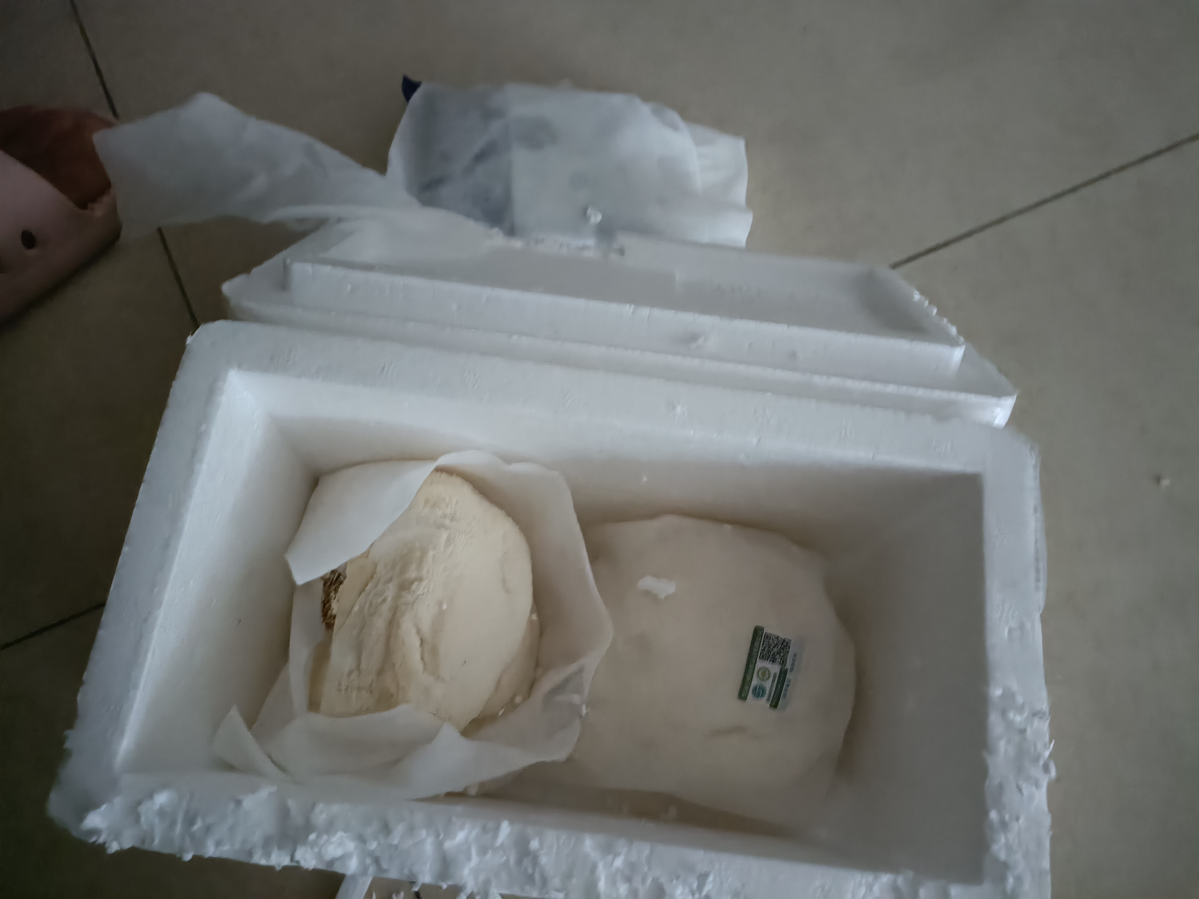 悦來頤和（YUELAIYIHE）新鲜猴头菇有机菌菇东北食用菌当天采摘顺丰直达蘑菇500g 500克 实拍图