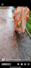 kocotreekk树儿童雨衣宝宝男童女小学生小童雨披幼儿园雨具分体斗篷式 实拍图