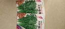 【随种随吃】调料菜种子组合春季四季易种耐热阳台盆栽通种蔬菜 大叶香菜种子2包约2000粒 一包约1000粒 实拍图