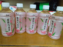 康师傅饮料330ml夏季饮品茶饮料小瓶多口味饮品年货整箱批发 330mL6瓶【绿茶】（低糖） 实拍图