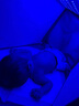 medgain京8仓24小时次日达测黄疸检测仪器租赁信用免押蓝光灯黄疸新生儿 医用光疗眼罩1个（耗材） 实拍图
