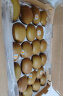 佳沛（zespri）新西兰  阳光金奇异果18粒巨无霸原箱单果重约173-204g 猕猴桃 实拍图