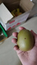 佳沛（zespri）新西兰  阳光金奇异果16粒礼盒经典果单果约 77-103g 水果 猕猴桃 实拍图