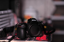 尼康（Nikon）Z6II（Z6 2/Z62）全画幅微单机身 微单机身（约2,450万有效像素 5轴防抖） 实拍图