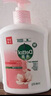 滴露（Dettol）健康抑菌洗手液滋润倍护500g 消毒抑菌99.99% 儿童适用不含酒精 实拍图