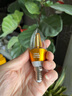欧普照明led灯泡蜡烛灯尖泡拉尾泡e14/e27螺纹家用吊灯替换光源超亮全光谱 白光-6000K 【5W】e14小螺口尖泡 实拍图
