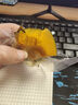 冉沃优选贝贝南瓜新鲜蔬菜软糯香甜细腻小南瓜粉糯轻食正宗南瓜山东 【新品尝鲜】即食南瓜净重 500g 实拍图