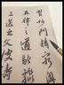 漢墨 汉墨特制进口环保墨汁 大瓶毛笔书法国画专用树脂胶墨液 文房四宝创作练习墨水 汉墨中浓【500g】 书法、写意、工笔 实拍图