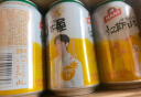 青岛啤酒（TsingTao）汉斯小木屋菠萝啤果啤整箱听装 330mL 12罐 实拍图
