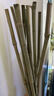 竹竿菜园搭架竹子户外旗杆黄瓜豆角爬藤菜架竹杆支架豇豆搭架杆 10根【精品竹竿】 1.5厘米粗2米长 实拍图