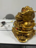 铜德礼饰落地金蟾摆件客厅创意三足蟾蜍办公室高档装饰品公司店铺开业礼物 加大号【36*36*38cm】-钱币可取 实拍图