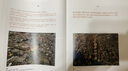 这里是中国3 华夏文明史诗  星球研究所 中华文明 文化遗产 典藏级国民地理书 中信出版社快乐读书吧 暑期必读课外阅读 实拍图